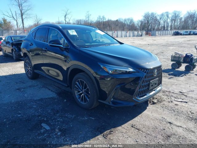 2024 Lexus Nx 250 მანქანა იყიდება აუქციონზე, vin: 2T2ADCAZ3RC010074, აუქციონის ნომერი: 38618604