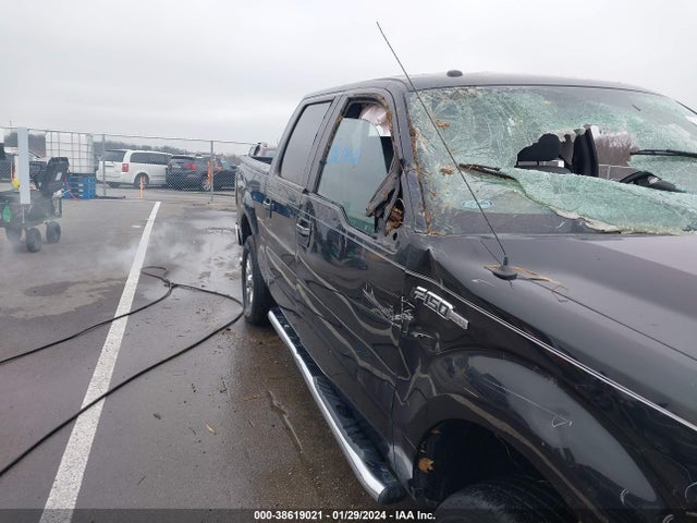 1FTFW1EF3EKF71778 Ford F-150 Xlt