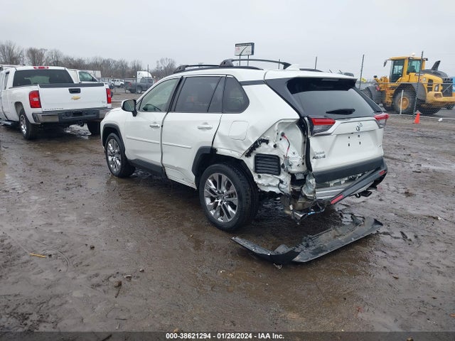 Toyota Rav4 Limited 2019 JTMY1RFV5KD006881 Image 3