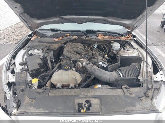 Ford Mustang V6 2017 1FA6P8AM3H5334470 Image 10
