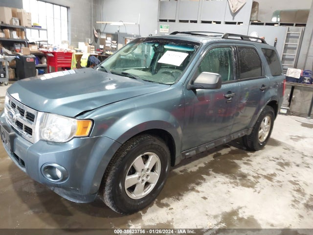 2011 FORD ESCAPE XLT VIN: 1FMCU9DG7BKB29983