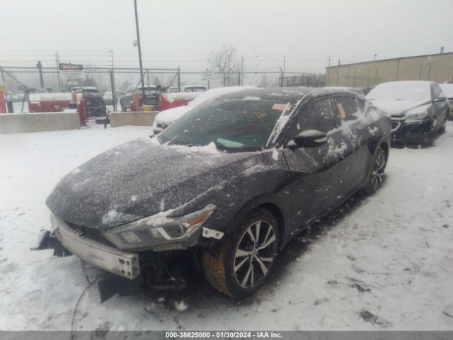 1N4AA6AP7HC424940 Nissan Maxima 3.5 Sv
