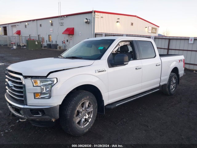 Ford F-150 Xlt 2015 1FTFW1EF4FKE44653 Image 14
