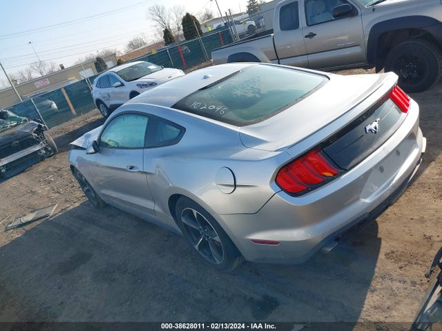 Ford Mustang Ecoboost 2019 1FA6P8TH8K5102096 Image 3