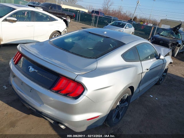 Ford Mustang Ecoboost 2019 1FA6P8TH8K5102096 Image 4