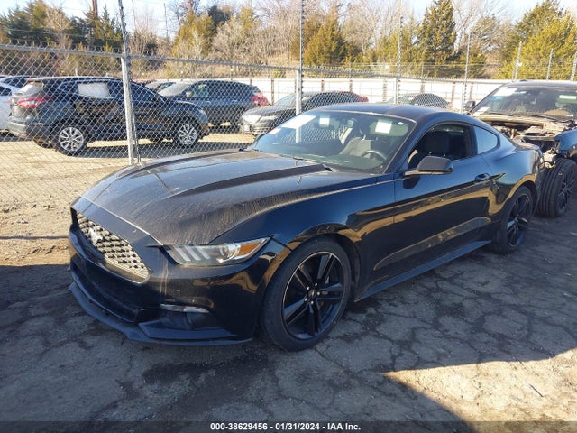 Ford Mustang Ecoboost 2015 1FA6P8TH2F5344890 Image 2