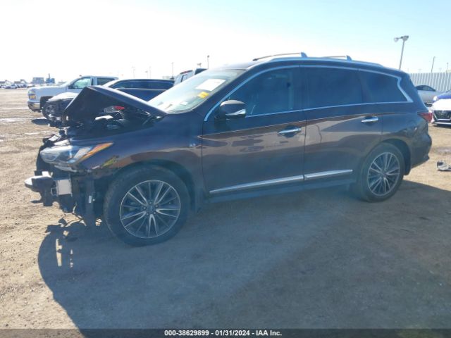5N1DL0MM0KC528401 Infiniti QX60 LUXE