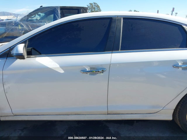 Hyundai SONATA SEL 2019 5NPE34AF0KH752973 Image 14