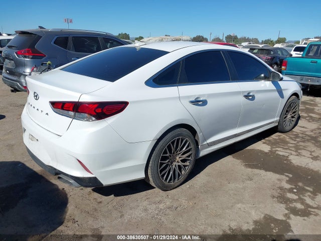 Hyundai SONATA SEL 2019 5NPE34AF0KH752973 Image 4
