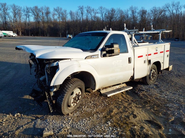 Ford F-350 Xl 2015 1FDBF3A6XFEA47555 Image 2