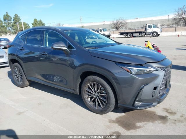 38631162 :رقم المزاد ، 2T2GGCEZ0RC050995 vin ، 2024 Lexus Nx 350 Premium مزاد بيع