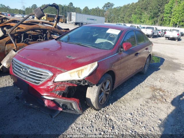 5NPE24AF3GH419614 Hyundai SONATA SE