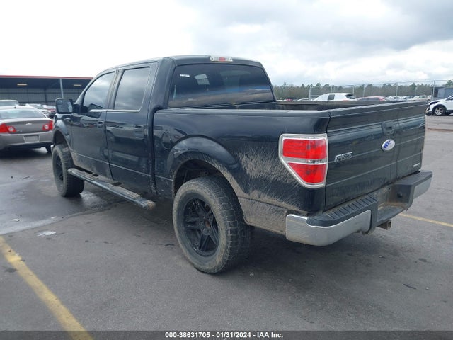 2013 FORD F-150 XLT VIN: 1FTFW1EF3DFD13302
