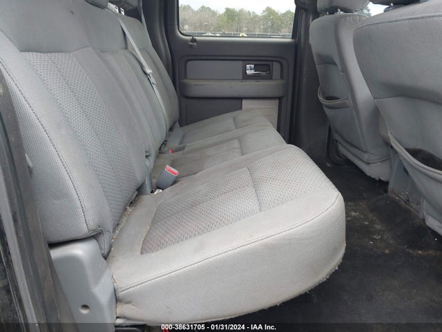2013 FORD F-150 XLT VIN: 1FTFW1EF3DFD13302
