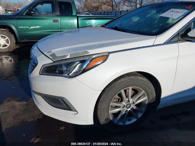 2017 HYUNDAI SONATA VIN: 5NPE24AF8HH445613