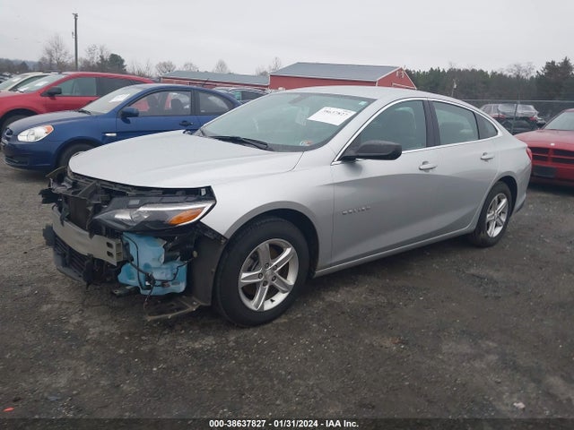 Chevrolet Malibu 1ls 2019 1G1ZB5ST2KF183948 Image 2