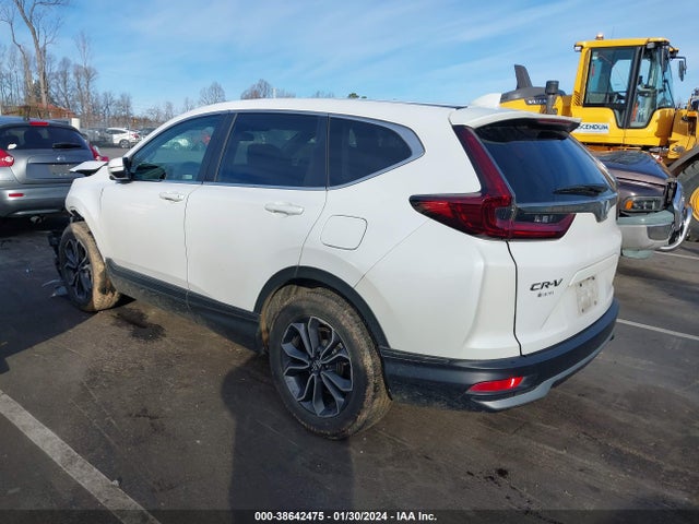 Honda Cr-v Awd Ex 2020 2HKRW2H51LH644535 Image 3