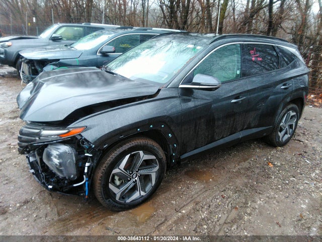 Hyundai Tucson Limited 2023 5NMJECAE7PH201535 Image 2