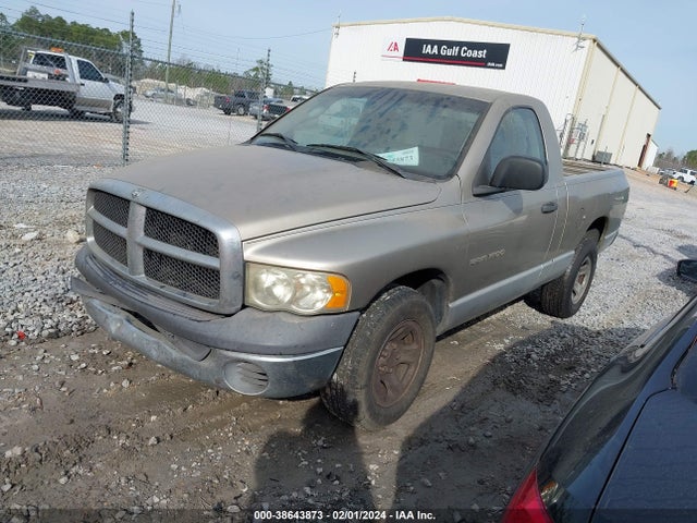 2002 DODGE RAM 1500 ST VIN: 1D7HA16KX2J242148