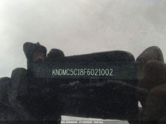 KNDMC5C18F6021002 KIA SEDONA EX