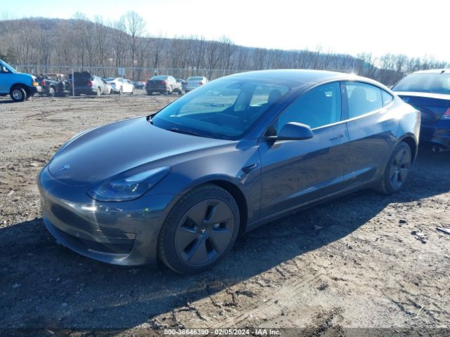 2023 TESLA MODEL 3 5YJ3E1EA6PF642126 Photo 1