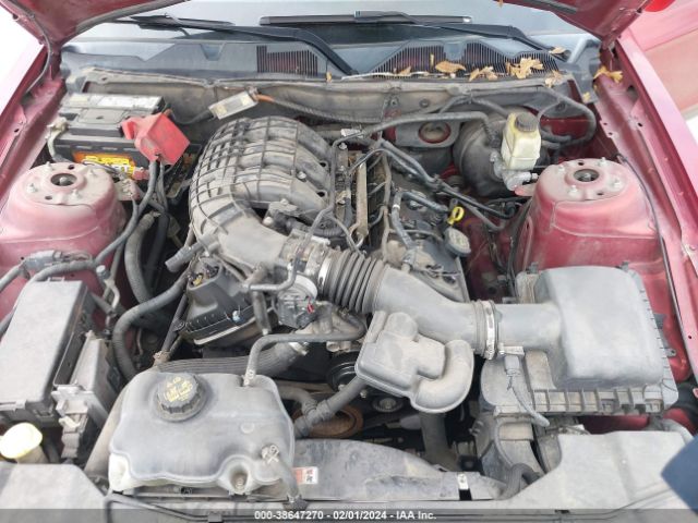 1ZVBP8AM7E5261007 Ford Mustang V6
