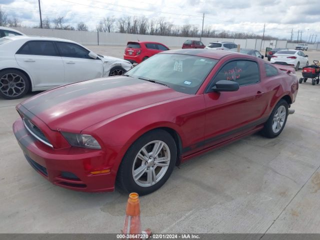 1ZVBP8AM7E5261007 Ford Mustang V6