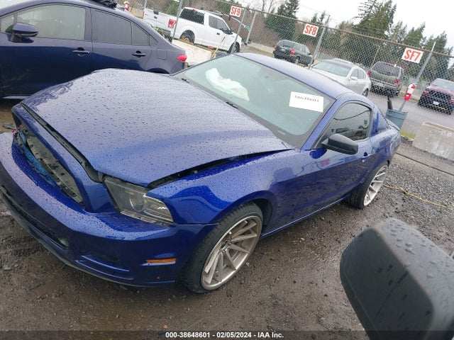 Ford Mustang V6 2014 1ZVBP8AM7E5259578 Image 2