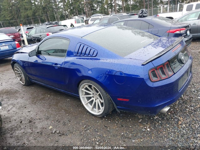 Ford Mustang V6 2014 1ZVBP8AM7E5259578 Image 3