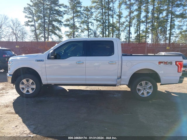 Ford F-150 Xlt 2016 1FTEW1EFXGKD85525 Image 14