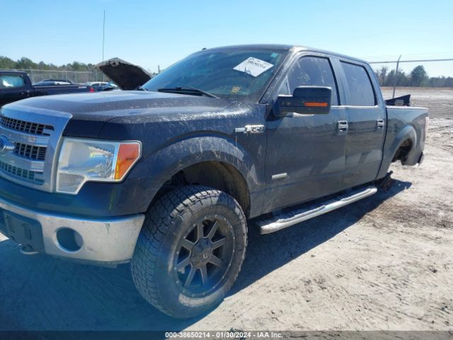 1FTFW1ETXEKG57238 Ford F-150 Xlt