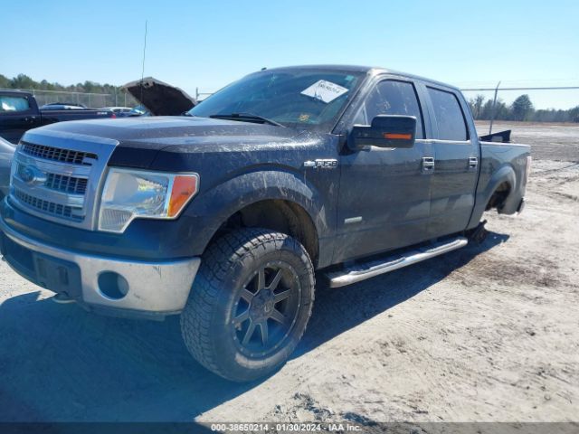 1FTFW1ETXEKG57238 Ford F-150 Xlt
