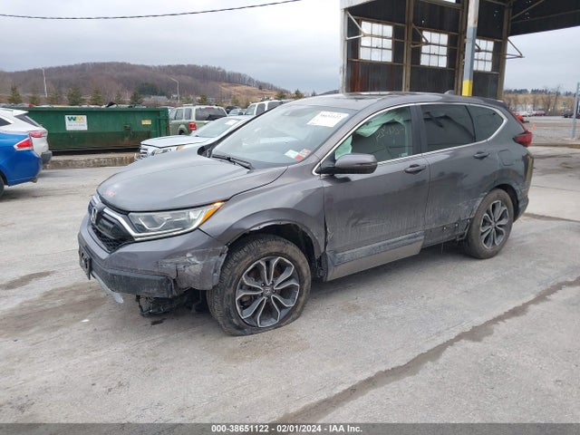 Honda Cr-v Awd Ex-l 2020 5J6RW2H85LA019695 Image 2