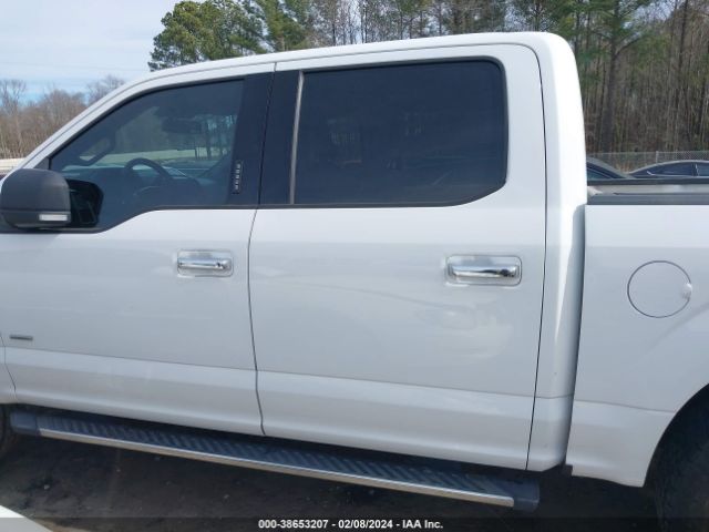 1FTEW1EPXFFB77645 Ford F-150 Xlt