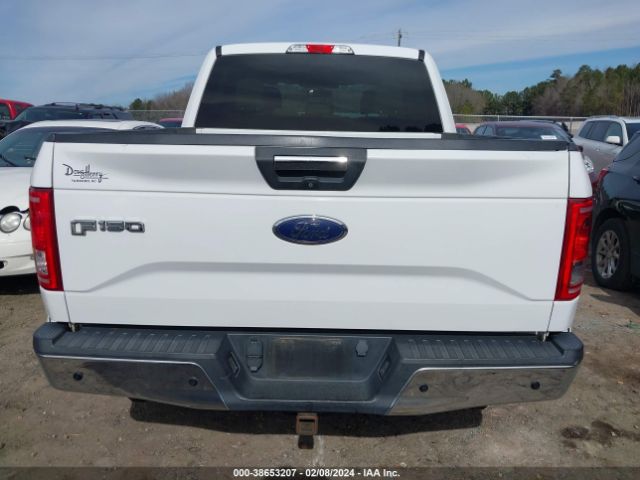 1FTEW1EPXFFB77645 Ford F-150 Xlt