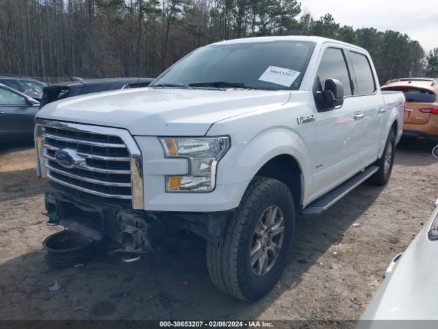 1FTEW1EPXFFB77645 Ford F-150 Xlt