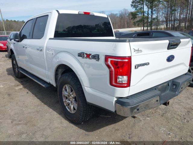 1FTEW1EPXFFB77645 Ford F-150 Xlt