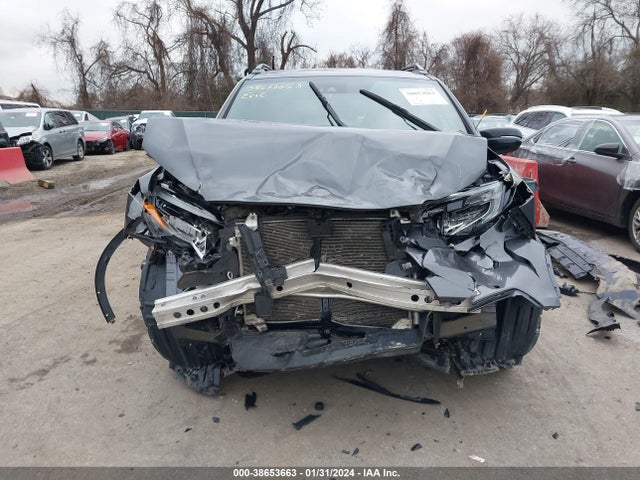Honda Passport Elite 2019 5FNYF8H07KB014874 Image 13