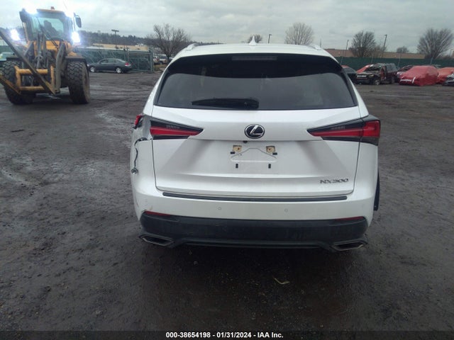 JTJDARDZ3M5019787 Lexus NX 300