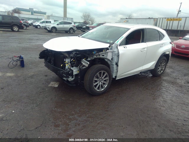 JTJDARDZ3M5019787 Lexus NX 300