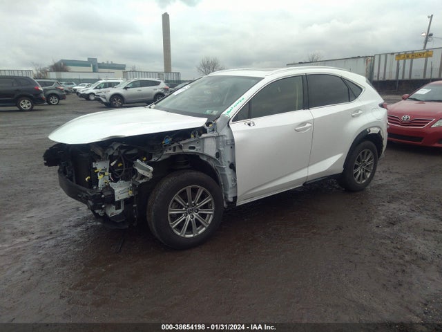 JTJDARDZ3M5019787 Lexus NX 300