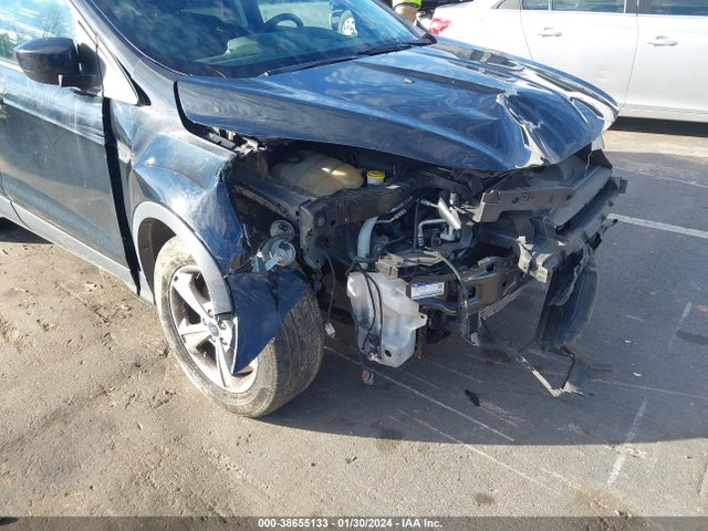 Ford ESCAPE SE 2016 1FMCU9G96GUA48286 Image 12
