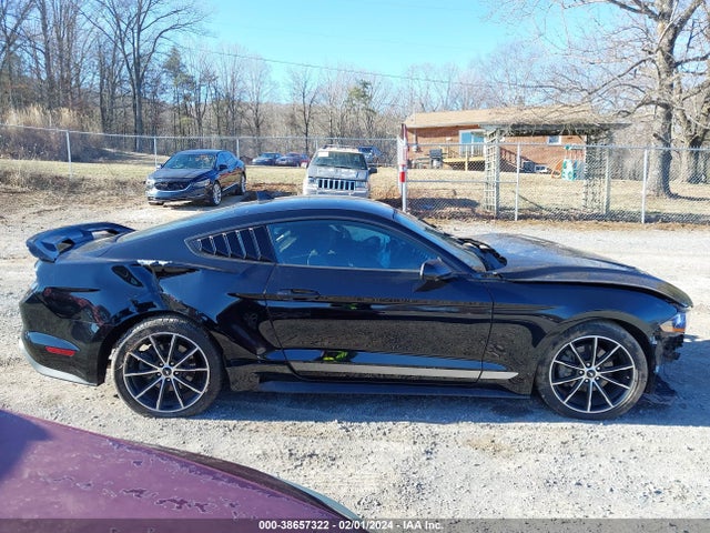 Ford Mustang Ecoboost Fastback 2020 1FA6P8THXL5158302 Image 13