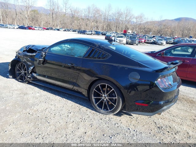 Ford Mustang Ecoboost Fastback 2020 1FA6P8THXL5158302 Image 3