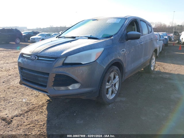 Ford ESCAPE SE 2014 1FMCU0GX7EUD56087 Image 2