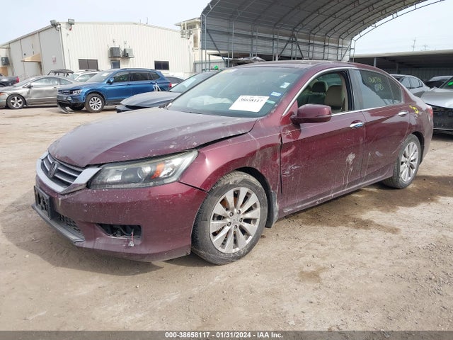 Honda Accord Ex-l 2014 1HGCR2F87EA068701 Image 2