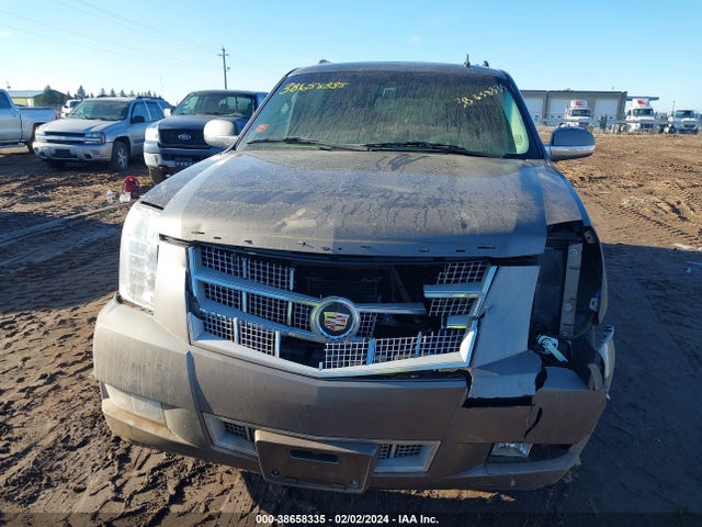 Cadillac Escalade Esv Platinum Edition 2014 1GYS4KEF8ER233787 Image 12