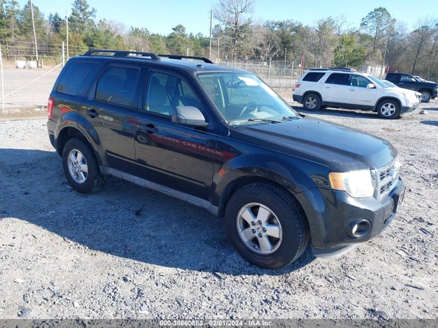 2011 FORD ESCAPE XLT VIN: 1FMCU0D77BKB70528