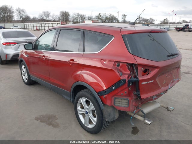 Ford ESCAPE SE 2014 1FMCU0GX2EUD25846 Image 3
