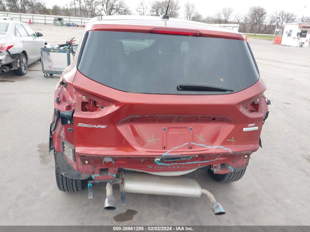 Ford ESCAPE SE 2014 1FMCU0GX2EUD25846 Image 6